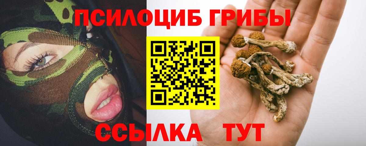 Псилоцибиновые грибы мицелий  Вход с VPN  даркнет сайт  Волжск 
